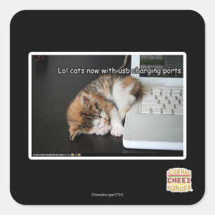 Sticker Carré Chats Lol avec USB