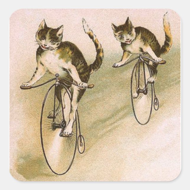 Sticker Carré Chats vintage à vélo (Devant)