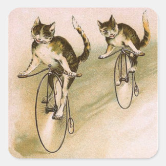 Sticker Carré Chats vintages à vélo
