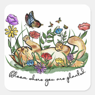 Sticker Carré Chatte de chat jouant jardin fleurs papillon fleur