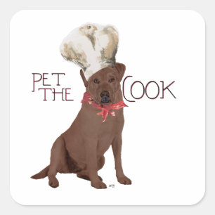 Sticker Carré Chef Labrador Retriever Chocolat