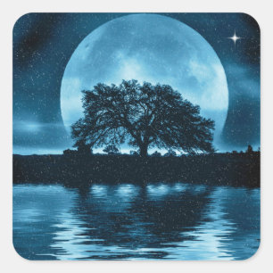 Sticker Carré Chêne et solstice d'hiver enneigé