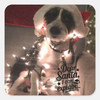 Sticker Carré Cher Père Noël, je peux expliquer (chien)