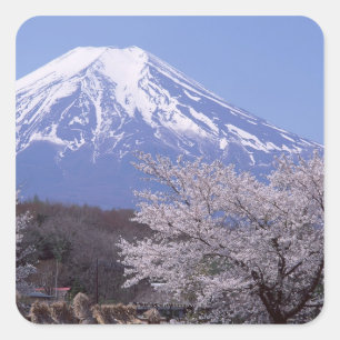 Sticker Carré Cherry Blossom et le mont Fuji