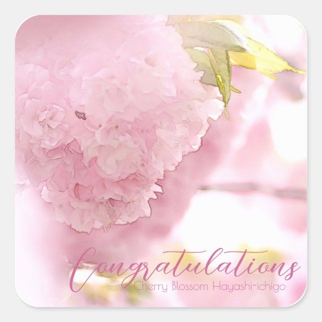 Sticker Carré Cherry Blossom "Hayashi-ichigo" スクエアシール (Devant)