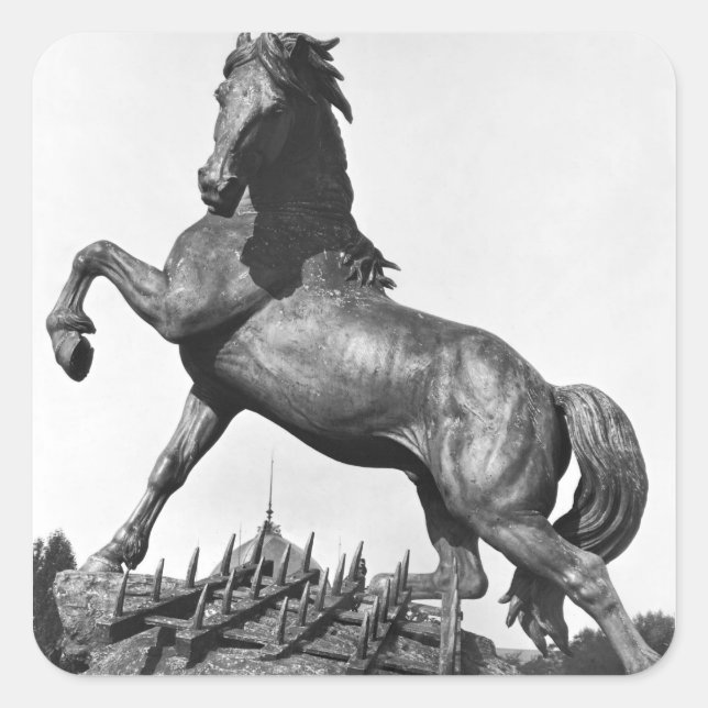 Sticker Carré Cheval avec harrow (Devant)