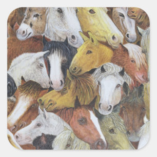 Sticker Carré Cheval Chevaux