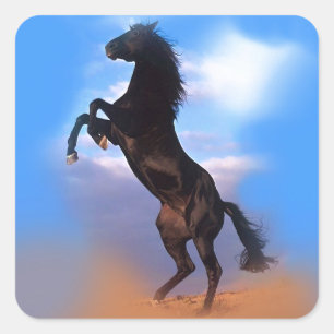 Sticker Carré Cheval d'élevage