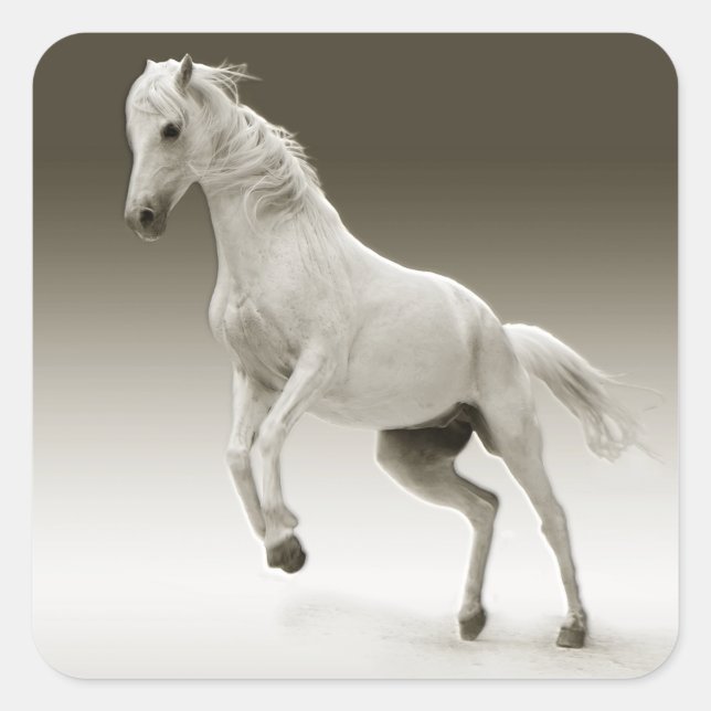 Sticker Carré Cheval Equestre Blanc Mare (Devant)