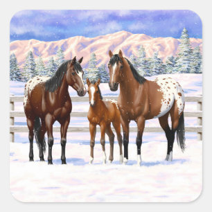 Sticker Carré Chevaux Appaloosa De Baie Brown En Neige