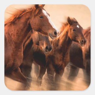 Sticker Carré Chevaux au galop, flou et crinières au vent