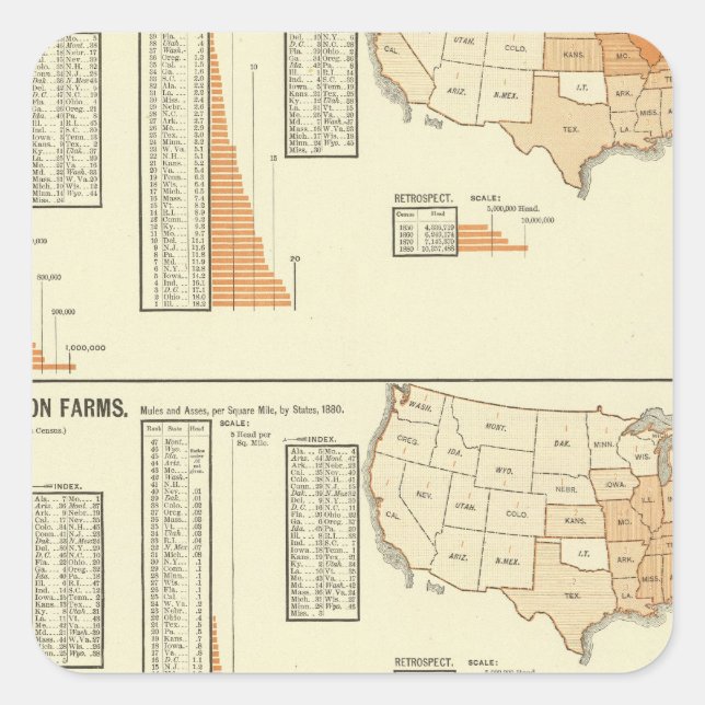 Sticker Carré Chevaux, mules, ânes, moutons (Devant)