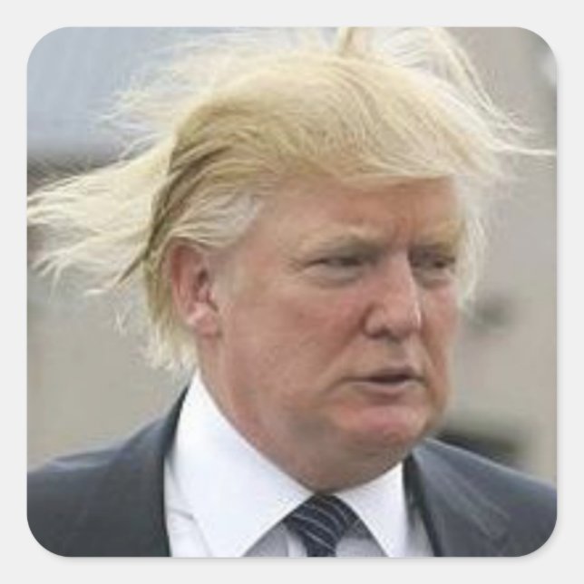 Sticker Carré Cheveux Trump sauvage (Devant)