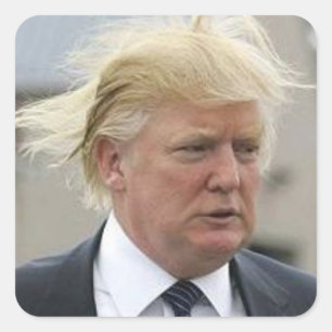 Sticker Carré Cheveux Trump sauvage
