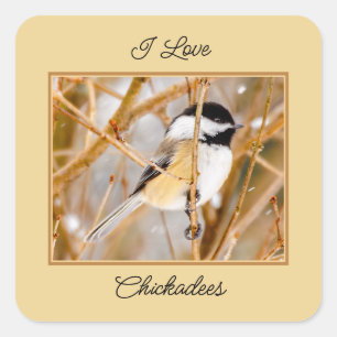 Sticker Carré Chickadee au plafond noir - Photo originale
