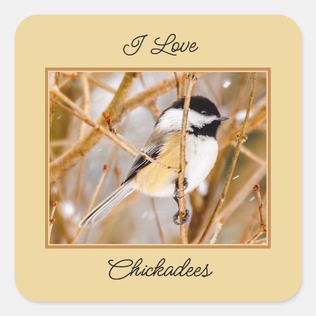 Sticker Carré Chickadee au plafond noir - Photo originale (Devant)
