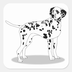 Sticker Carré Chien