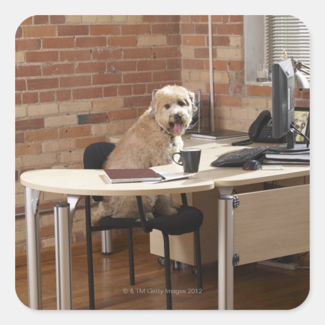 Sticker Carré Chien assis au bureau (Devant)