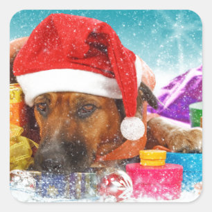 Sticker Carré Chien attend Noël