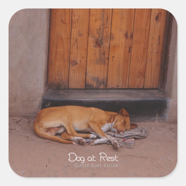 Sticker Carré Chien au repos (Devant)