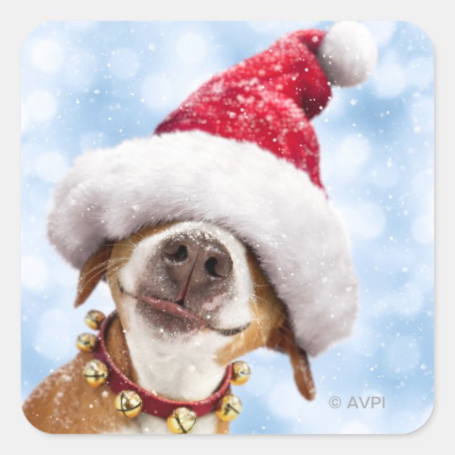 Sticker Carré Chien avec grand chapeau de Père Noël (Devant)