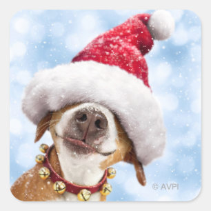 Sticker Carré Chien avec un grand chapeau de Père Noël