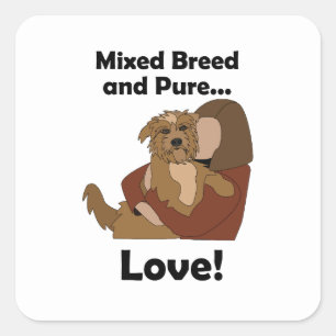 Sticker Carré Chien bâtard Race mixte Amour pur Fête d'anniversa
