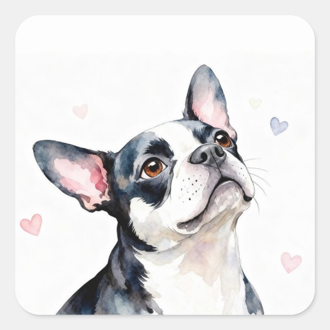 Sticker Carré Chien Boston Terrier avec des cœurs (Devant)