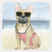 Chien chaud | Chiot En Lunettes De Soleil À La Pla