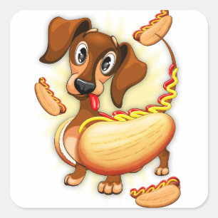 Sticker Carré Chien chaud Dachshund