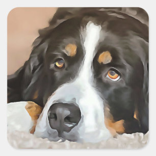 Sticker Carré Chien, Chien féminin, Chien de montagne bernois
