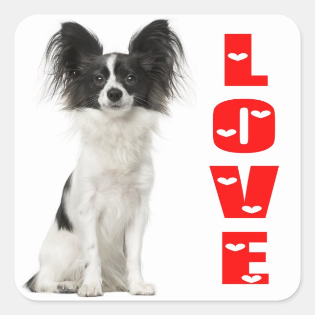 Sticker Carré Chien Chien Noir Et Blanc Papillon - Chien D'Amour (Devant)