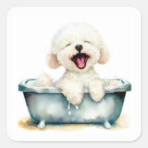 Sticker Carré Chien de Bichon Frise