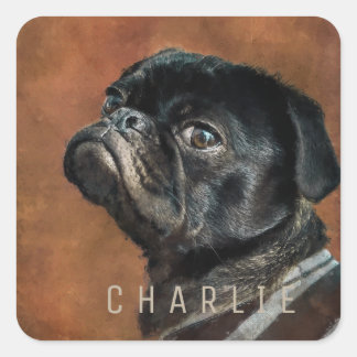 Sticker Carré Chien de Carlin noir