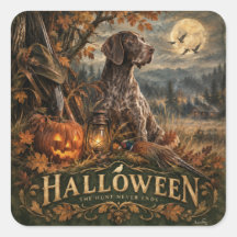 Chien de chasse Pointer allemand Halloween
