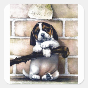 Sticker Carré Chien de chiot en vente jolie illustration vintage