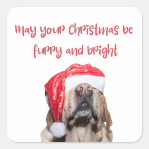 Sticker Carré chien de noël drôle