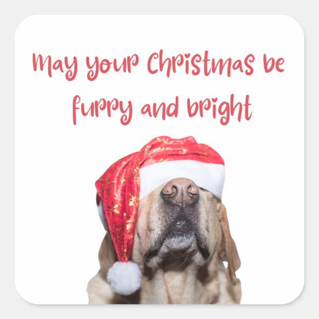 Sticker Carré chien de noël drôle (Devant)