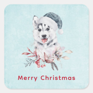 Sticker Carré Chien de Noël Husky dans un chapeau de Père Noël
