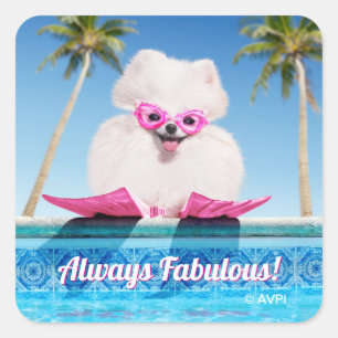 Sticker Carré Chien De Piscine En Palmes