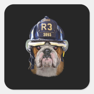 Sticker Carré Chien de taureau anglais grognon portant un casque