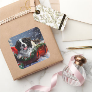 Sticker Carré Chien de Terre-Neuve Noël Festif