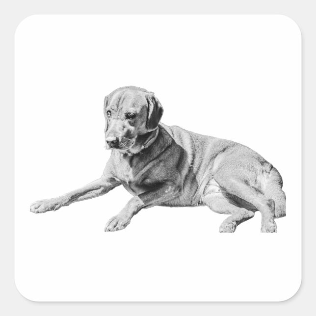 Sticker Carré Chien Déposé, Vibe Chill (Devant)