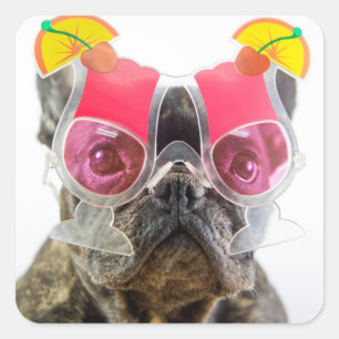 Sticker Carré Chien des images de Getty avec des verres de