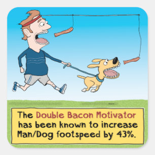 Sticker Carré Chien drôle et homme chassant le lard