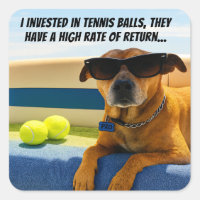 Chien Drôle Lunettes de Soleil Balle de Tennis Bat