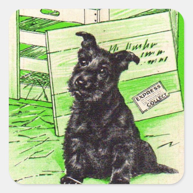 Sticker Carré Chien écossais par livraison spéciale (Devant)