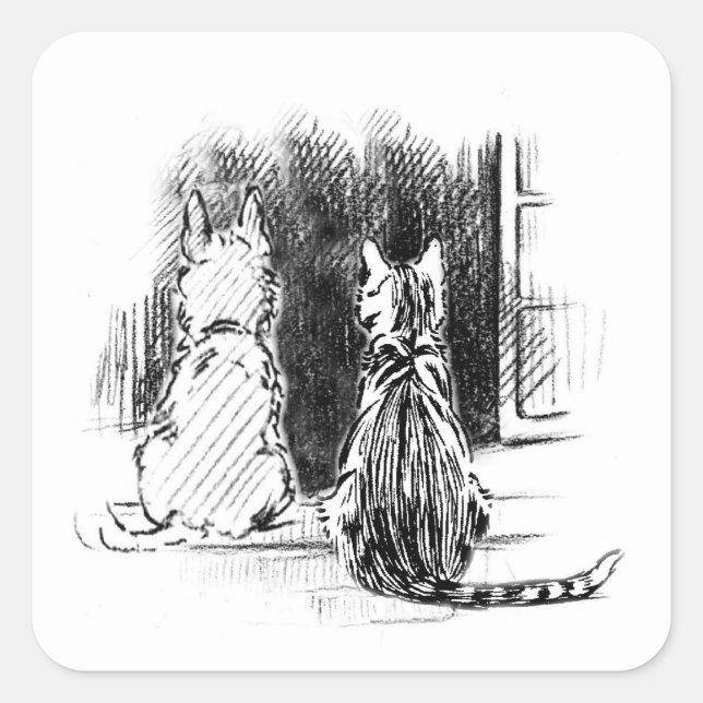 Sticker Carré Chien et chat regardent par la fenêtre, la sympath (Devant)