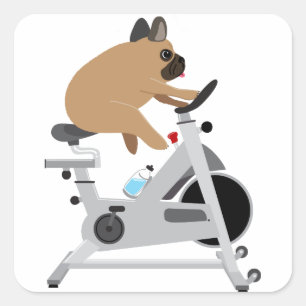 Sticker Carré Chien fatigué