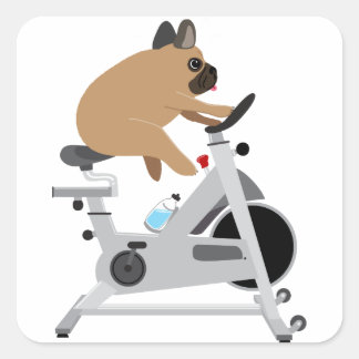 Sticker Carré Chien fatigué